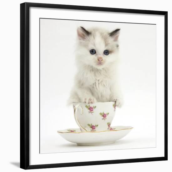 Photographic Print, , large