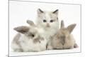 Premium Photographic Print