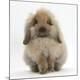 Premium Photographic Print