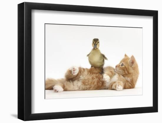 Photographic Print, , large