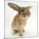 Premium Photographic Print