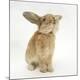 Premium Photographic Print
