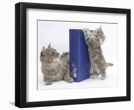 Photographic Print, , large