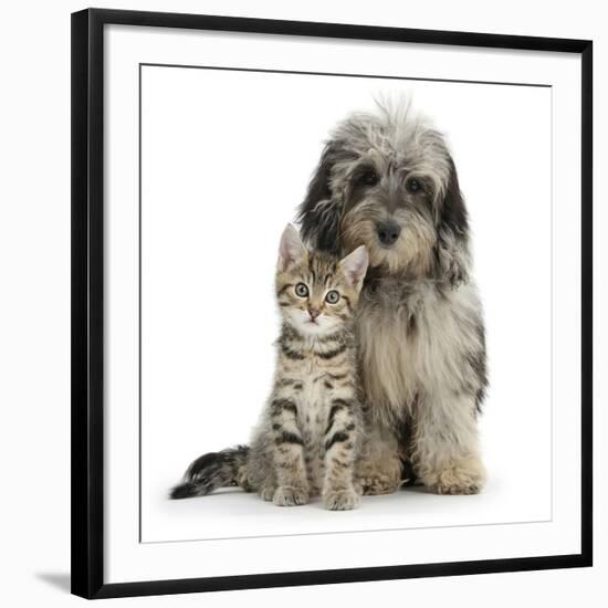 Photographic Print, , large