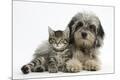 Premium Photographic Print