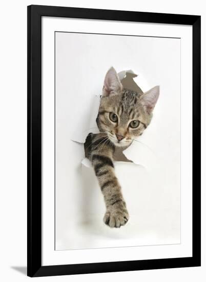 Photographic Print, , large