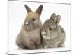 Premium Photographic Print