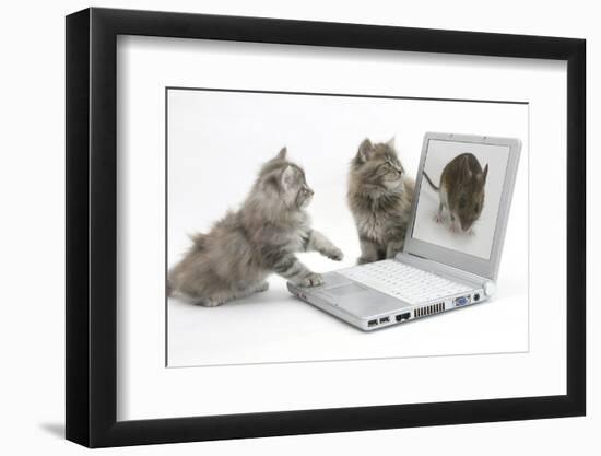 Photographic Print, , large