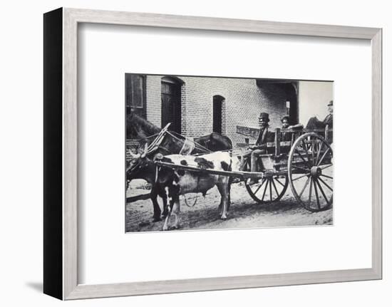 Mark Twain, American author, in the back of a horse and ox drawn cart, c1900-Unknown-Framed Photographic Print