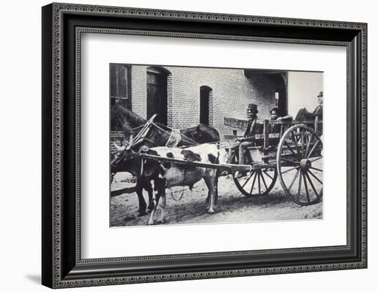 Mark Twain, American author, in the back of a horse and ox drawn cart, c1900-Unknown-Framed Photographic Print