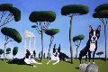 Premium Giclee Print