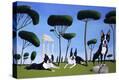 Stretched Canvas Print