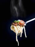 Linguine with a Minced Meat Sauce, Tomatoes and Basil on a Fork-Mark Vogel-Premier Image Canvas