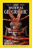 Cover of the March, 1998 National Geographic Magazine-Mark W. Moffett-Photographic Print