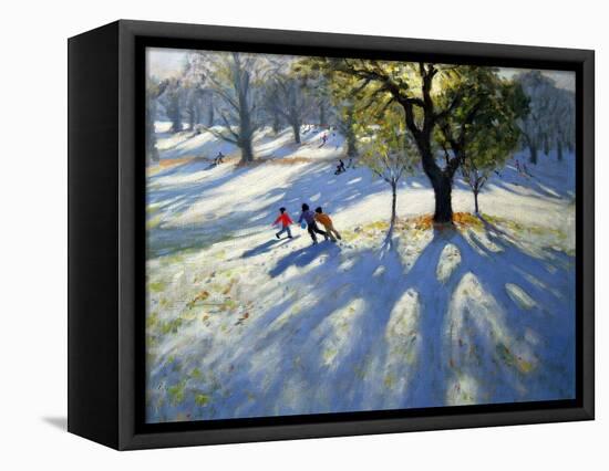 Markeaton Park, Early Snow-Andrew Macara-Framed Premier Image Canvas