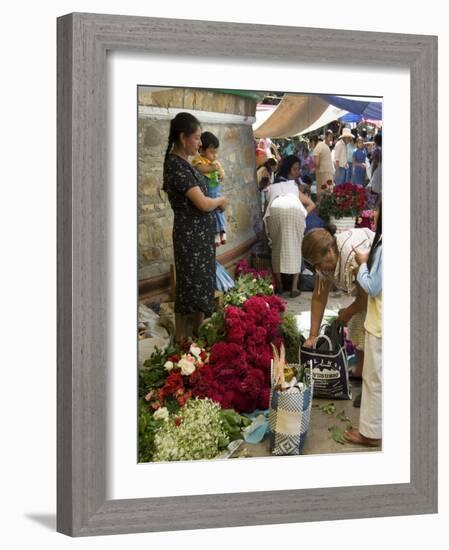 Market Day at Zaachila, Oaxaca, Mexico, North America-R H Productions-Framed Photographic Print