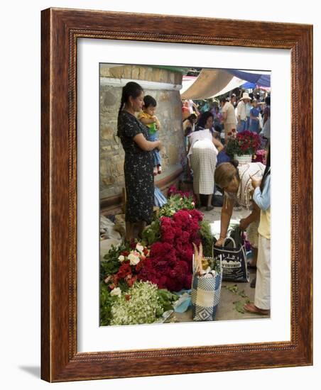 Market Day at Zaachila, Oaxaca, Mexico, North America-R H Productions-Framed Photographic Print