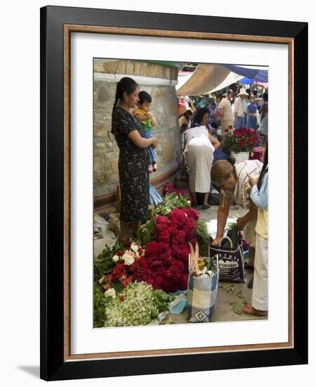 Market Day at Zaachila, Oaxaca, Mexico, North America-R H Productions-Framed Photographic Print