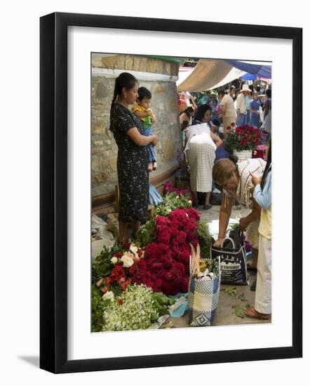 Market Day at Zaachila, Oaxaca, Mexico, North America-R H Productions-Framed Photographic Print