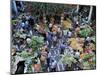 Market Hall, Funchal, Madeira, Portugal-Hans Peter Merten-Mounted Photographic Print