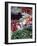 Market, Mexico-Alexander Nesbitt-Framed Photographic Print