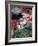 Market, Mexico-Alexander Nesbitt-Framed Photographic Print