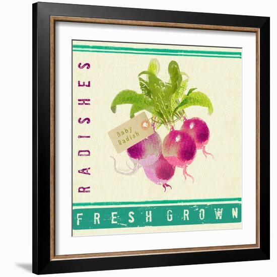 Market Radishes-Lola Bryant-Framed Art Print