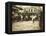 Market Scene, Boston, Massachusetts, c.1909-Lewis Wickes Hine-Framed Stretched Canvas