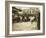 Market Scene, Boston, Massachusetts, c.1909-Lewis Wickes Hine-Framed Photo