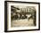 Market Scene, Boston, Massachusetts, c.1909-Lewis Wickes Hine-Framed Photo