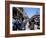 Market Scene, Downtown, Port Au Prince, Haiti, West Indies, Central America-Lousie Murray-Framed Photographic Print