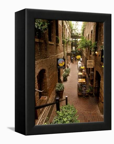 Market Square District in Omaha, Nebraska, USA-Chuck Haney-Framed Premier Image Canvas