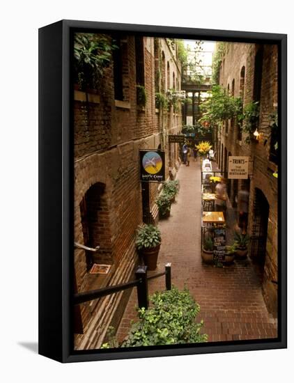 Market Square District in Omaha, Nebraska, USA-Chuck Haney-Framed Premier Image Canvas