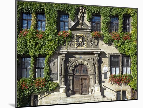 Market Square, Quedlinburg, UNESCO World Heritage Site, Harz, Saxony-Anhalt, Germany-Gavin Hellier-Mounted Photographic Print