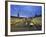 Market Square with Pyramide, Karlsruhe, Baden-Wurttemberg, Germany, Europe-Hans Peter Merten-Framed Photographic Print