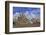 Market Square with Town Hall, Delft, South Holland, Netherlands, Europe-Hans-Peter Merten-Framed Photographic Print