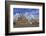 Market Square with Town Hall, Delft, South Holland, Netherlands, Europe-Hans-Peter Merten-Framed Photographic Print