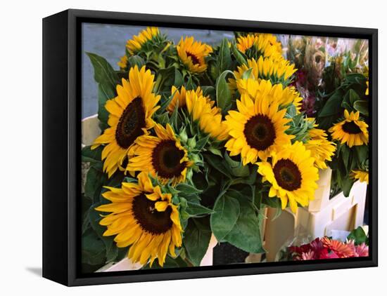 Market Sunflowers, Nice, France-Charles Sleicher-Framed Premier Image Canvas