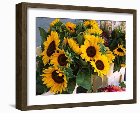 Market Sunflowers, Nice, France-Charles Sleicher-Framed Photographic Print