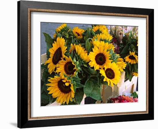 Market Sunflowers, Nice, France-Charles Sleicher-Framed Photographic Print