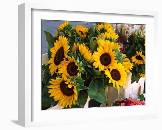 Market Sunflowers, Nice, France-Charles Sleicher-Framed Photographic Print