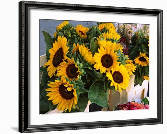 Market Sunflowers, Nice, France-Charles Sleicher-Framed Photographic Print