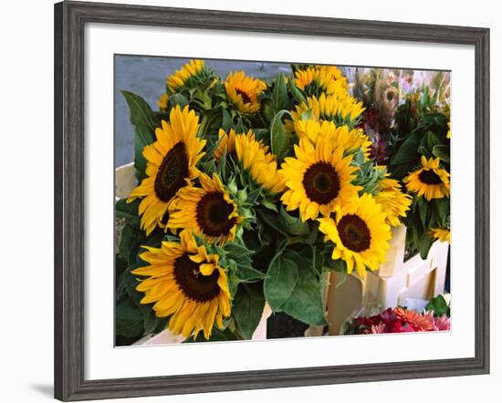 Market Sunflowers, Nice, France-Charles Sleicher-Framed Photographic Print