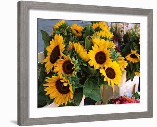 Market Sunflowers, Nice, France-Charles Sleicher-Framed Photographic Print