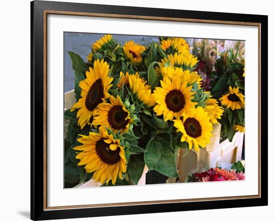 Market Sunflowers, Nice, France-Charles Sleicher-Framed Photographic Print