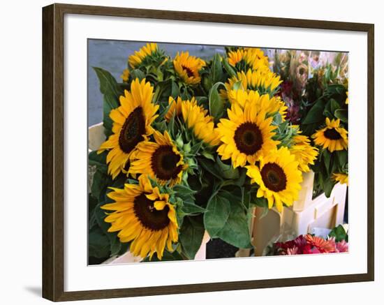 Market Sunflowers, Nice, France-Charles Sleicher-Framed Photographic Print