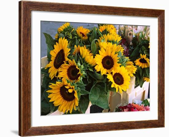 Market Sunflowers, Nice, France-Charles Sleicher-Framed Photographic Print