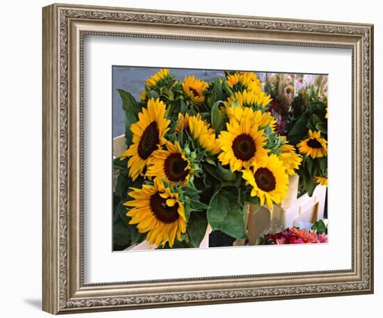 Market Sunflowers, Nice, France-Charles Sleicher-Framed Photographic Print