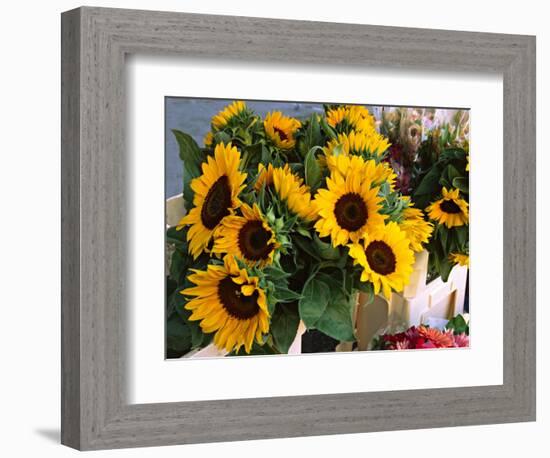 Market Sunflowers, Nice, France-Charles Sleicher-Framed Photographic Print