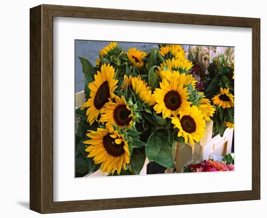 Market Sunflowers, Nice, France-Charles Sleicher-Framed Photographic Print